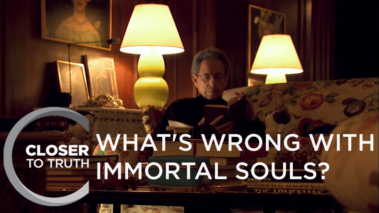 What's Wrong with Immortal Souls?